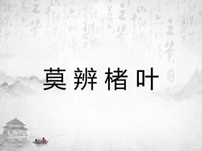 莫辨楮叶