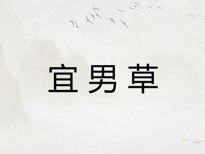 宜男草 宜男草