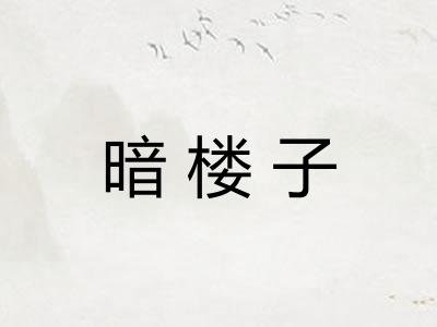 暗楼子