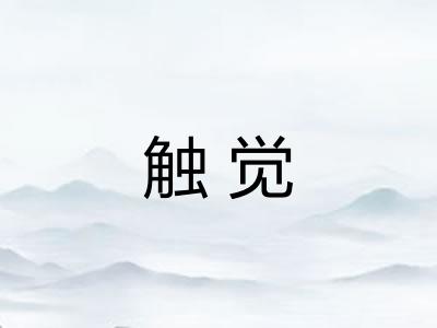 触觉