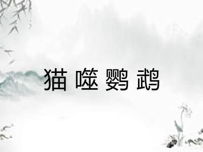 猫噬鹦鹉