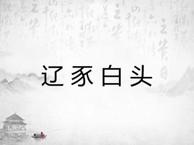 辽豕白头