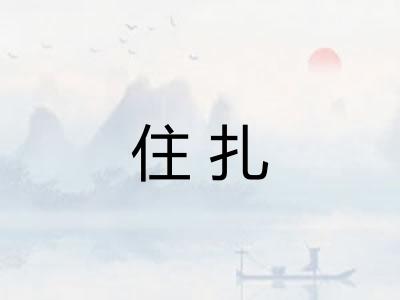 住扎
