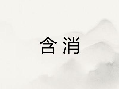 含消