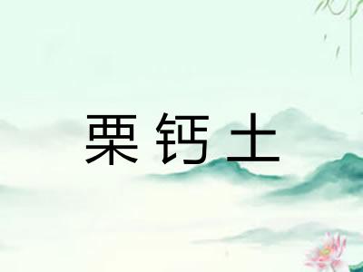栗钙土