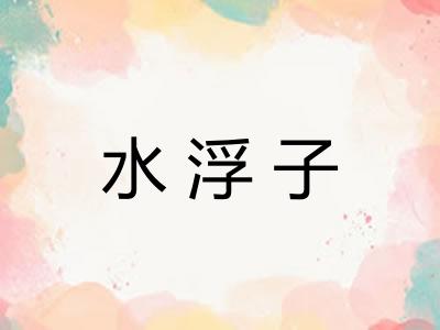 水浮子
