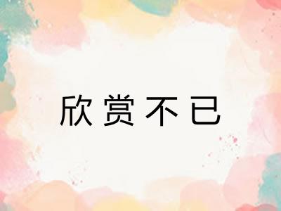 欣赏不已