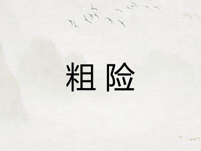 粗险