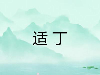 适丁