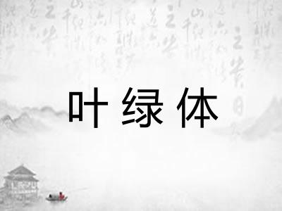 叶绿体