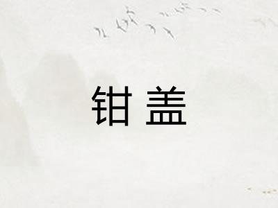 钳盖