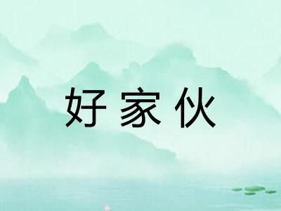 好家伙