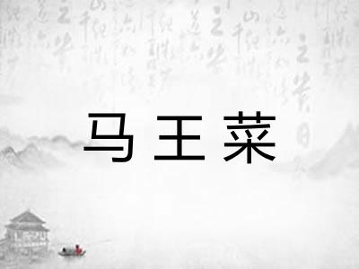 马王菜