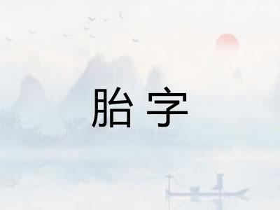 胎字