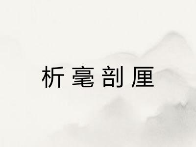 析毫剖厘