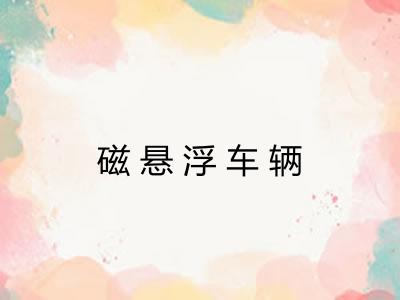 磁悬浮车辆