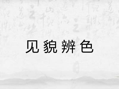 见貌辨色