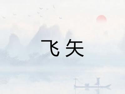 飞矢
