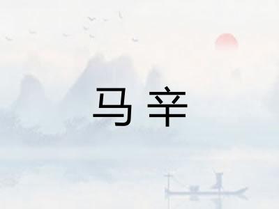 马辛