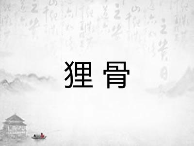 狸骨