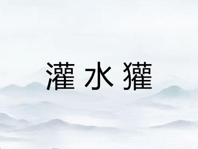 灌水獾