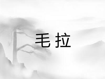 毛拉