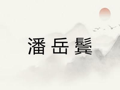 潘岳鬓