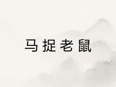 马捉老鼠