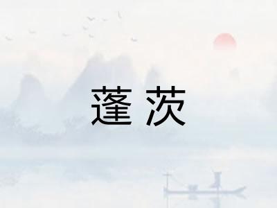 蓬茨