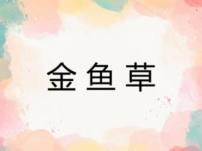 金鱼草