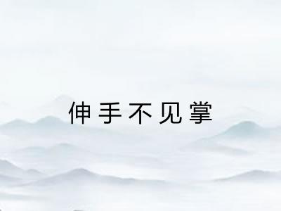 伸手不见掌