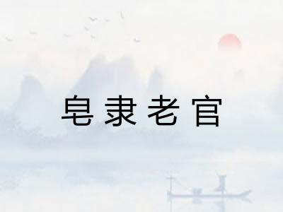 皂隶老官