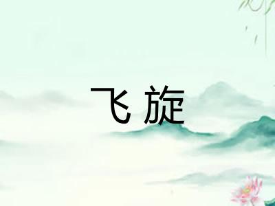 飞旋