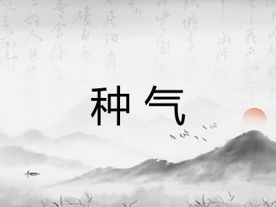 种气