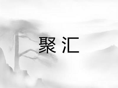 聚汇