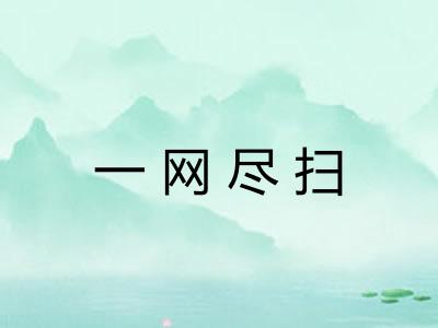 一网尽扫