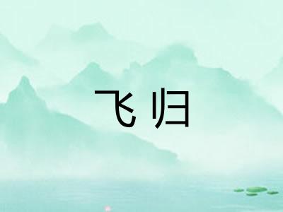 飞归 飞归