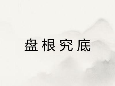 盘根究底