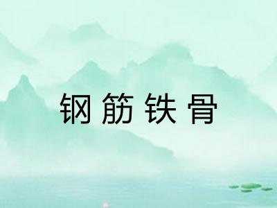 钢筋铁骨