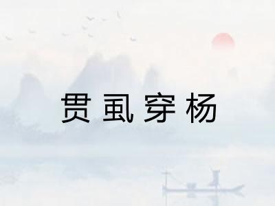 贯虱穿杨