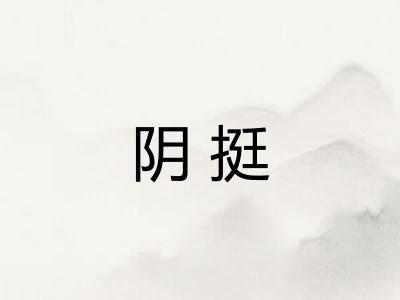阴挺