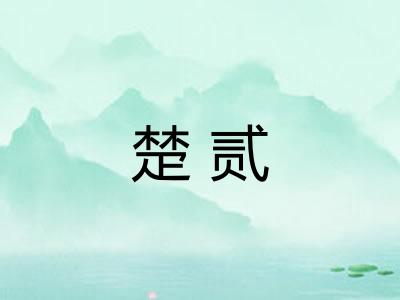 楚贰