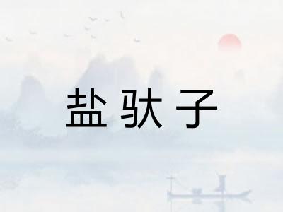 盐驮子 盐驮子