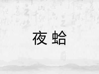 夜蛤