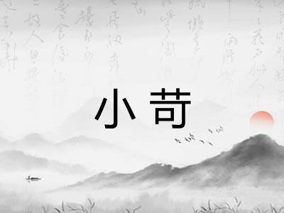 小苛