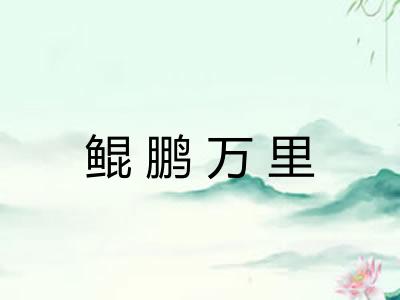 鲲鹏万里