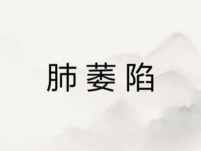 肺萎陷 肺萎陷