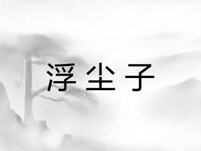 浮尘子
