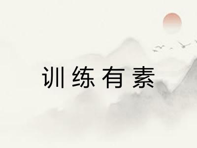 训练有素