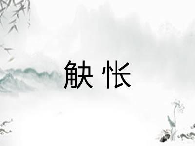 觖怅